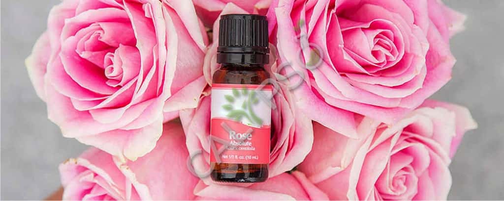 Rose absolute olievoordelen